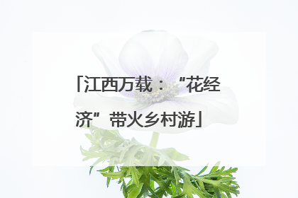 江西万载：“花经济”带火乡村游