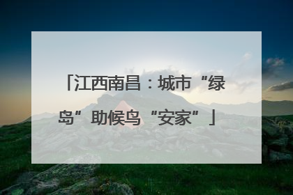江西南昌：城市“绿岛”助候鸟“安家”