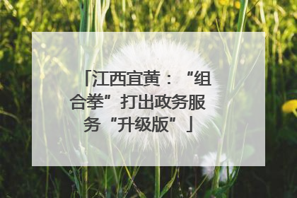 江西宜黄：“组合拳”打出政务服务“升级版”
