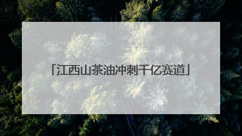 江西山茶油冲刺千亿赛道