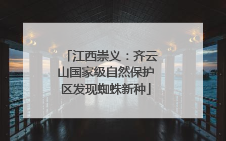 江西崇义：齐云山国家级自然保护区发现蜘蛛新种