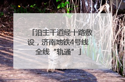 沿主干道经十路敷设，济南地铁4号线全线“轨通”