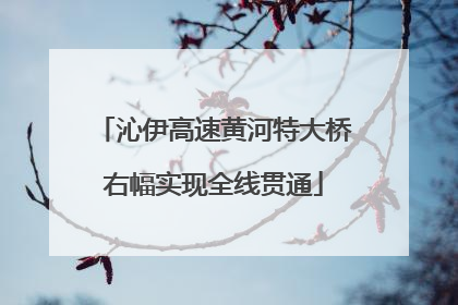 沁伊高速黄河特大桥右幅实现全线贯通