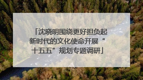 沈晓明围绕更好担负起新时代的文化使命开展“十五五”规划专题调研