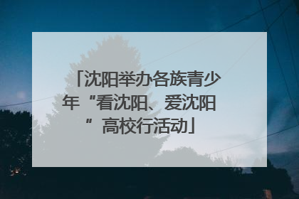 沈阳举办各族青少年“看沈阳、爱沈阳”高校行活动