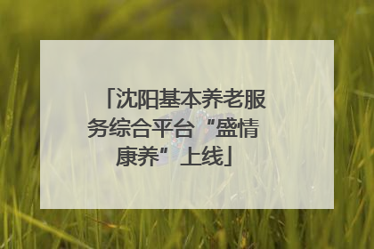 沈阳基本养老服务综合平台“盛情康养”上线