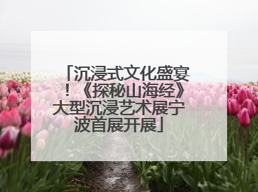沉浸式文化盛宴！《探秘山海经》大型沉浸艺术展宁波首展开展