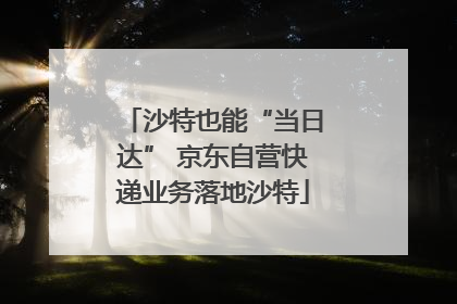 沙特也能“当日达” 京东自营快递业务落地沙特