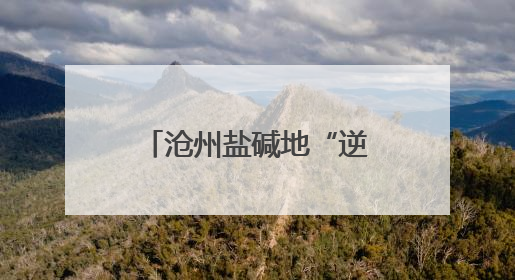 沧州盐碱地“逆天改命”：无用之地变良田，候鸟翔集水草丰美
