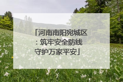 河南南阳宛城区：筑牢安全防线 守护万家平安