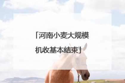 河南小麦大规模机收基本结束