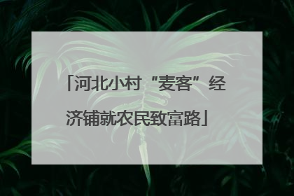 河北小村“麦客”经济铺就农民致富路