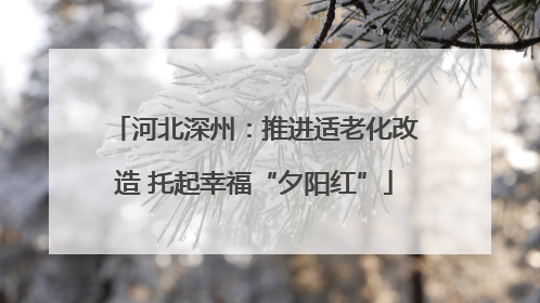 河北深州：推进适老化改造 托起幸福“夕阳红”