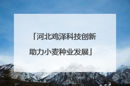 河北鸡泽科技创新助力小麦种业发展