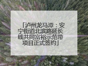 泸州龙马潭：安宁街道北滨路延长线共同富裕示范带项目正式签约
