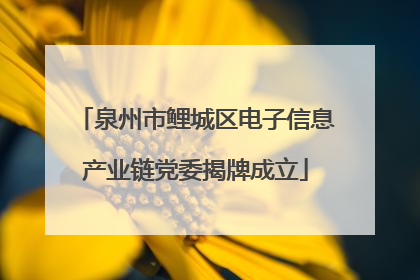 泉州市鲤城区电子信息产业链党委揭牌成立