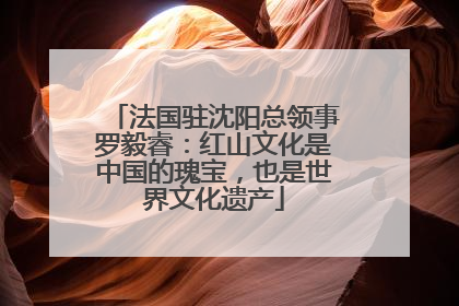 法国驻沈阳总领事罗毅睿：红山文化是中国的瑰宝，也是世界文化遗产