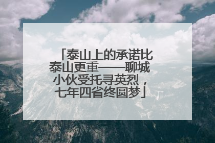 泰山上的承诺比泰山更重——聊城小伙受托寻英烈，七年四省终圆梦