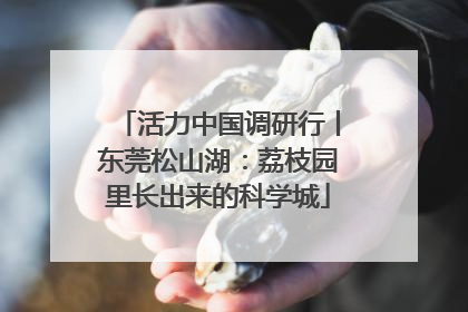 活力中国调研行丨东莞松山湖：荔枝园里长出来的科学城