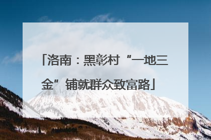 洛南：黑彰村“一地三金”铺就群众致富路