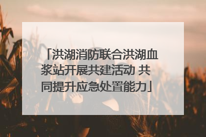 洪湖消防联合洪湖血浆站开展共建活动 共同提升应急处置能力