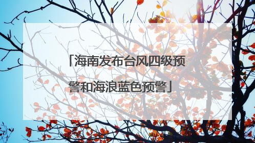 海南发布台风四级预警和海浪蓝色预警