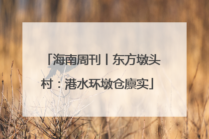 海南周刊丨东方墩头村：港水环墩仓廪实