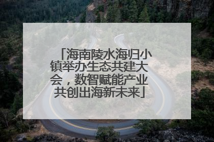 海南陵水海归小镇举办生态共建大会，数智赋能产业共创出海新未来