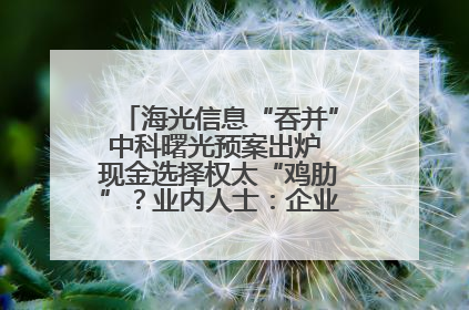 海光信息“吞并”中科曙光预案出炉 现金选择权太“鸡肋”？业内人士：企业不想大量现金流出