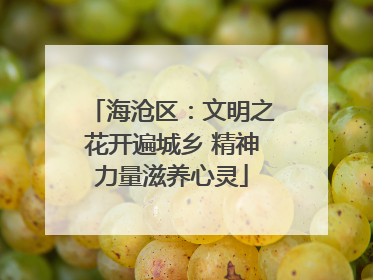 海沧区：文明之花开遍城乡 精神力量滋养心灵