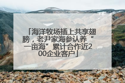 海洋牧场插上共享翅膀，老尹家海参认养“一亩海”累计合作近200企业客户