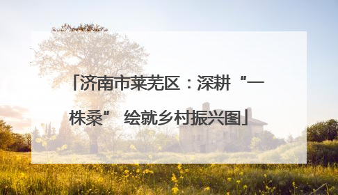 济南市莱芜区：深耕“一株桑” 绘就乡村振兴图