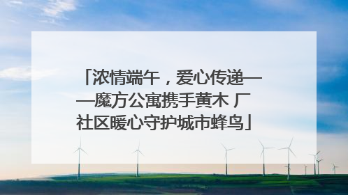 浓情端午，爱心传递——魔方公寓携手黄木 厂社区暖心守护城市蜂鸟