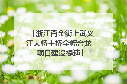 浙江甬金衢上武义江大桥主桥全幅合龙 项目建设提速