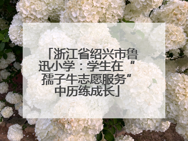 浙江省绍兴市鲁迅小学：学生在“孺子牛志愿服务”中历练成长