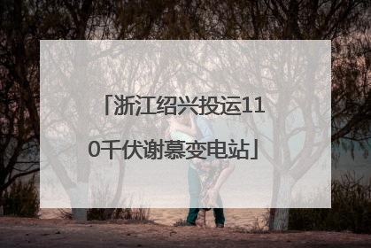 浙江绍兴投运110千伏谢慕变电站