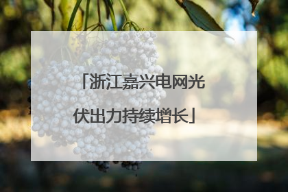 浙江嘉兴电网光伏出力持续增长