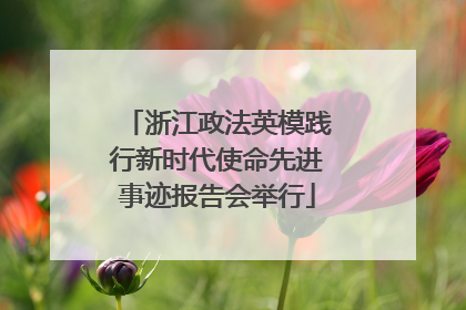 浙江政法英模践行新时代使命先进事迹报告会举行