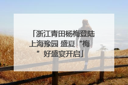 浙江青田杨梅登陆上海豫园 盛夏“梅”好盛宴开启