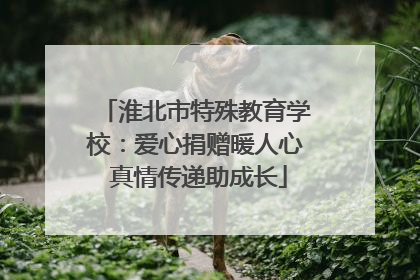 淮北市特殊教育学校：爱心捐赠暖人心 真情传递助成长