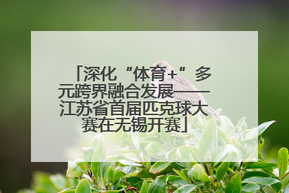深化“体育+”多元跨界融合发展——江苏省首届匹克球大赛在无锡开赛