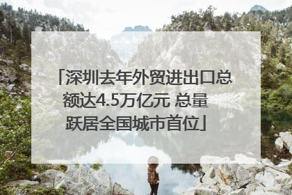 深圳去年外贸进出口总额达4.5万亿元 总量跃居全国城市首位
