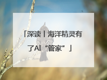 深读丨海洋精灵有了AI“管家”