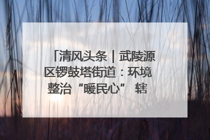 清风头条｜武陵源区锣鼓塔街道：环境整治“暖民心” 辖区面貌“靓”起来
