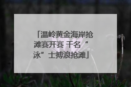温岭黄金海岸抢滩赛开赛 千名“泳”士搏浪抢滩