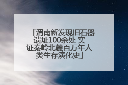 渭南新发现旧石器遗址100余处 实证秦岭北麓百万年人类生存演化史