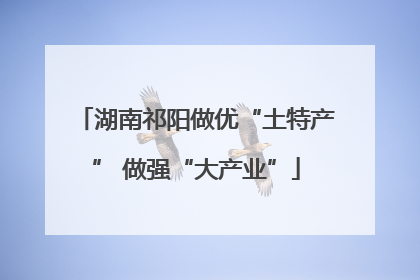 湖南祁阳做优“土特产” 做强“大产业”