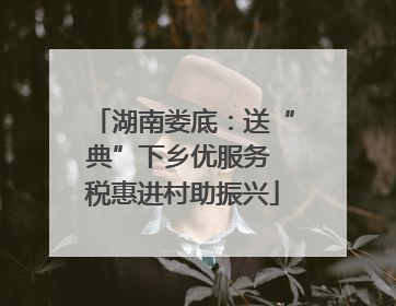 湖南娄底：送“典”下乡优服务 税惠进村助振兴