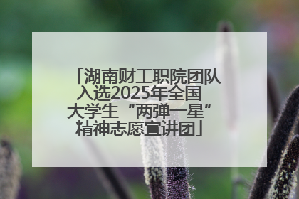 湖南财工职院团队入选2025年全国大学生“两弹一星”精神志愿宣讲团