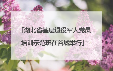 湖北省基层退役军人党员培训示范班在谷城举行